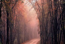 jinnianhui-布宜诺斯艾利斯独立防守体系调整，力求守住关键战局