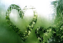 金年会官方-辽宁男篮剑气纵横，新赛季誓破九重天！