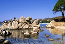 sports jnh-铜牌耀亚平宁：泳池暗涌的意大利之光