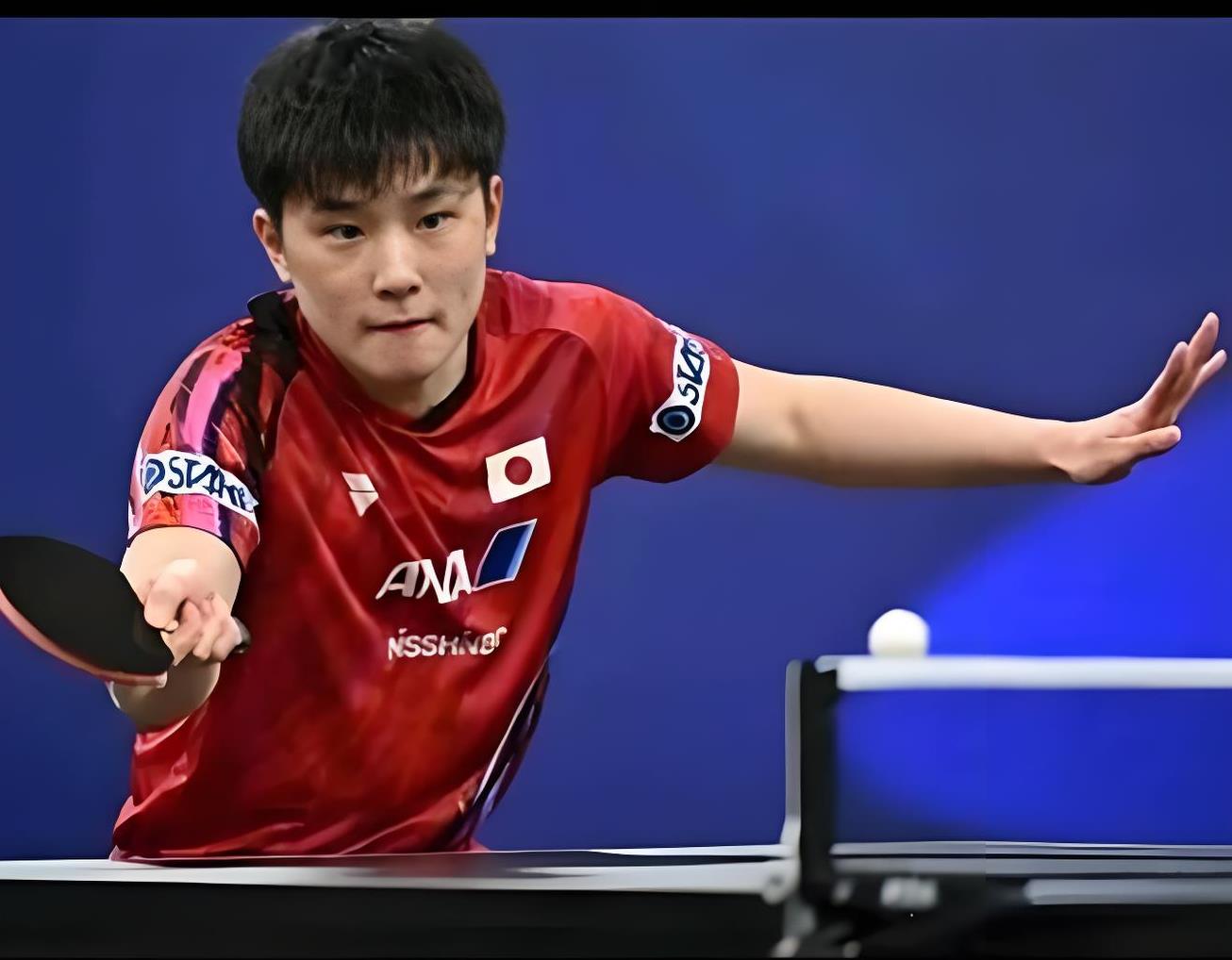 关于日本队翻盘波兰队，张本智和统治全场的信息