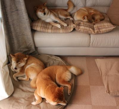 末节之神，当詹姆斯在盐湖城的寂静中完成致命切割