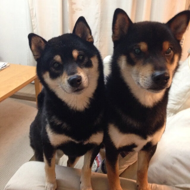 金年会博彩-篮球与绿茵，新一代接管者的诞生