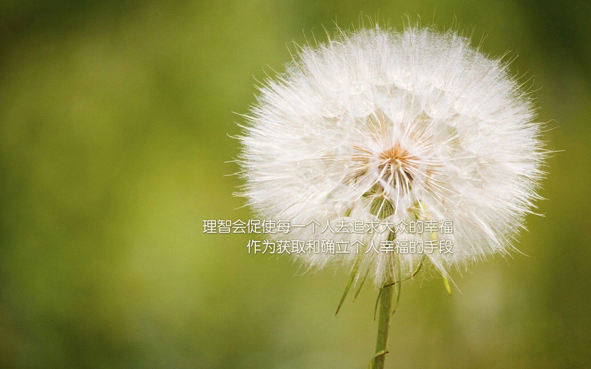 金年会博彩-绝境重生！皮克统治末节率克罗地亚客场逆转那不勒斯