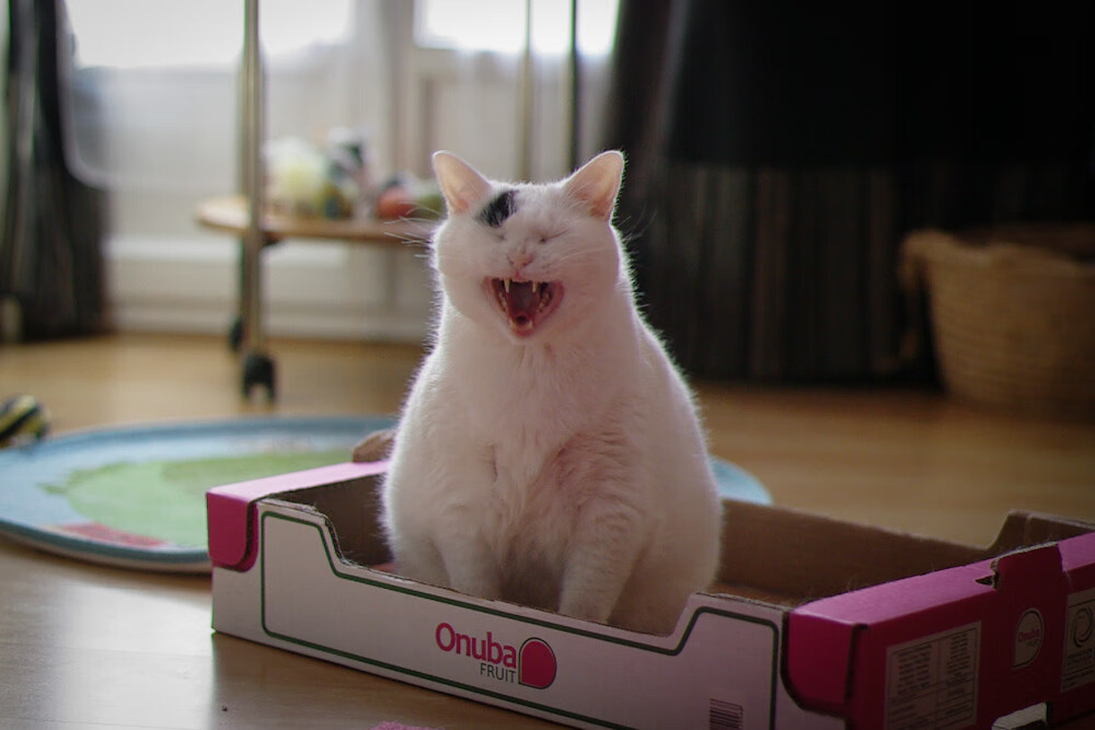 金年会官网-武切维奇37+13统治攻防，雷霆末节逆转终结活塞连胜希望