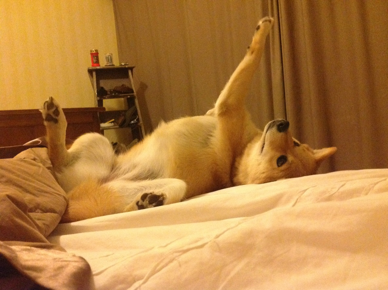 金年会官方网站-北境风暴冲垮铁血防线，欧冠半决赛上演绝境逆转