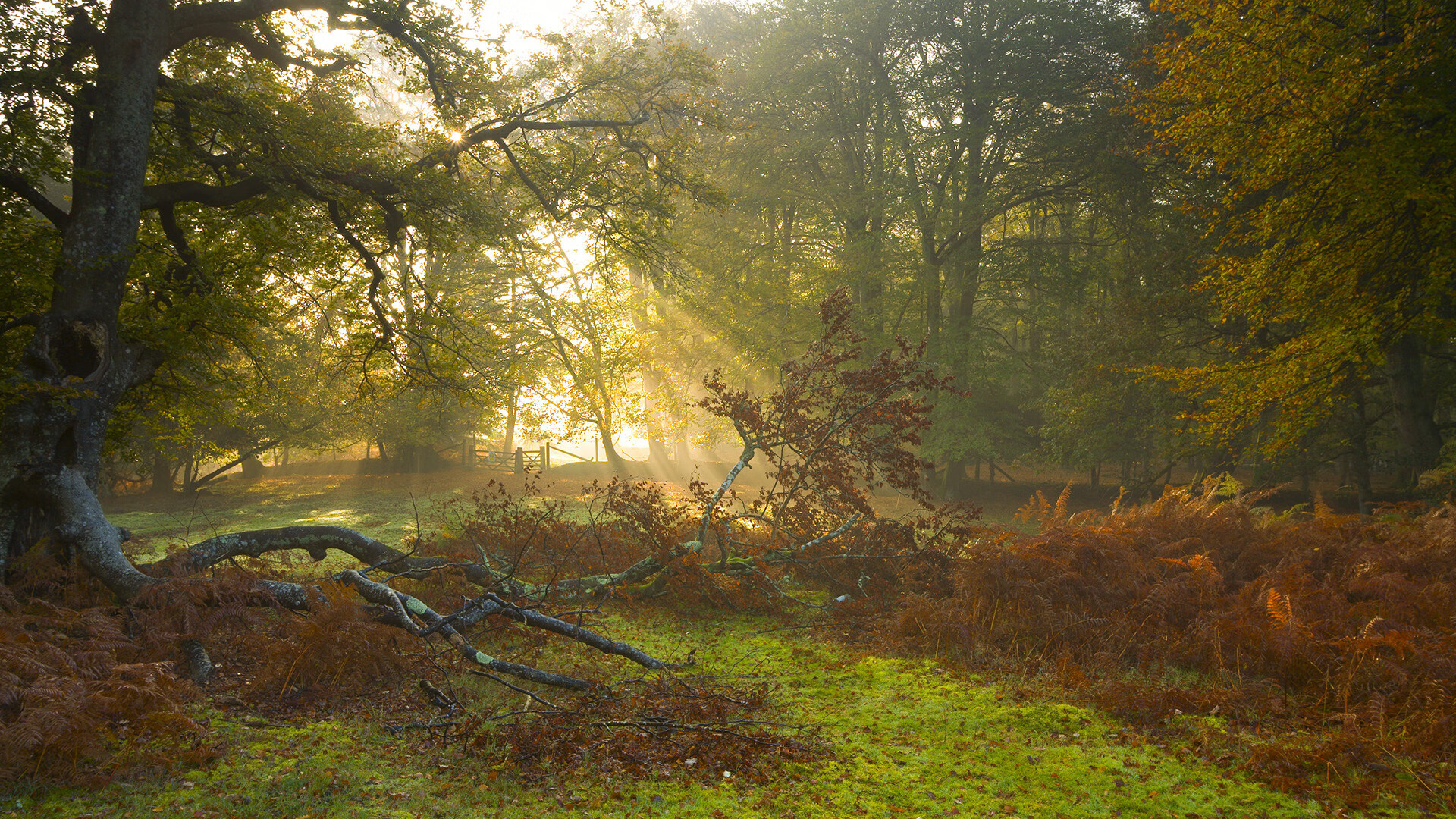大场面先生伊萨克！秘鲁绝境逢生的钥匙