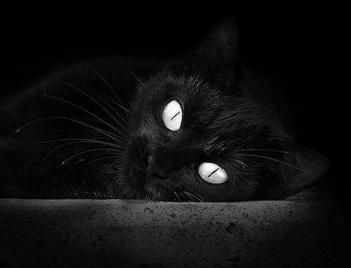 划破黑夜的闪电，斯通斯于无声处听惊雷