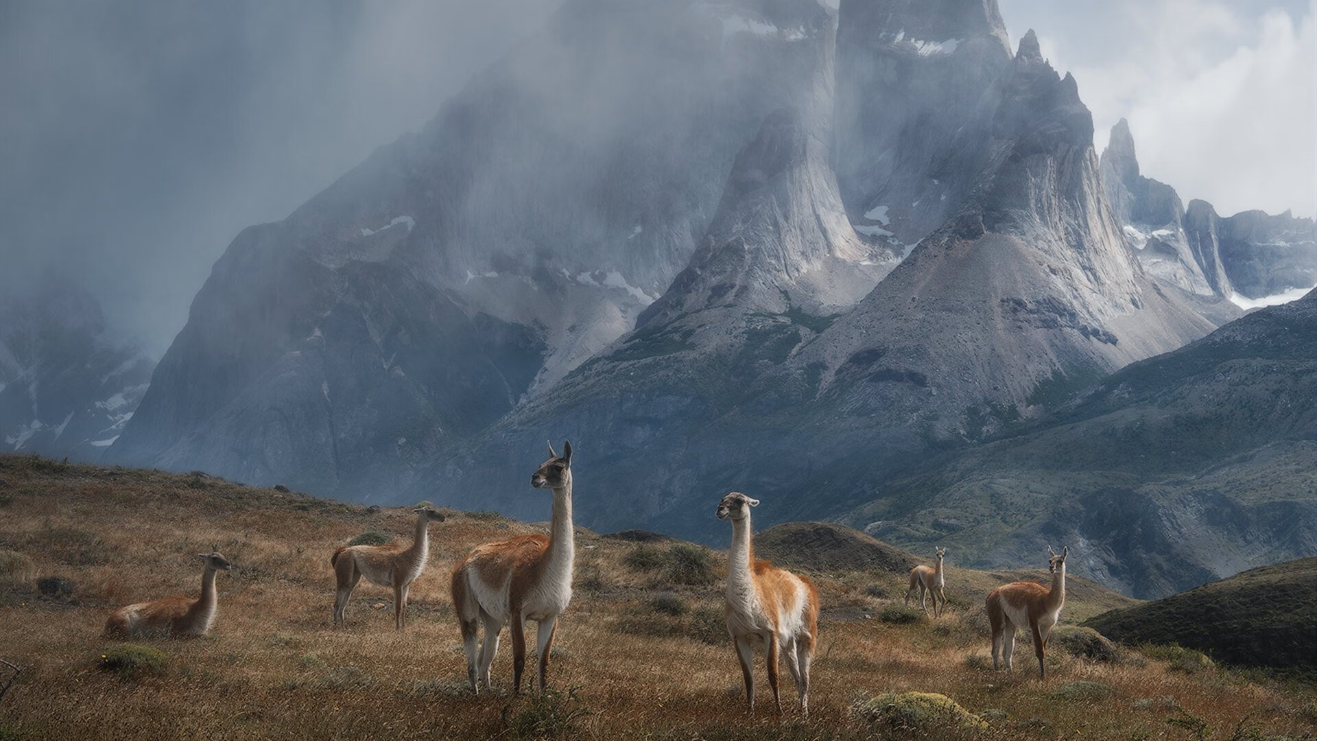 金年会博彩-莫兰特点燃篮球元宇宙，篮网在跨时空表演赛中如何粉碎深圳队？