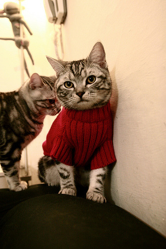 绝境铸英雄，当卡塔尔封锁新西兰，凯塞多完成自我救赎