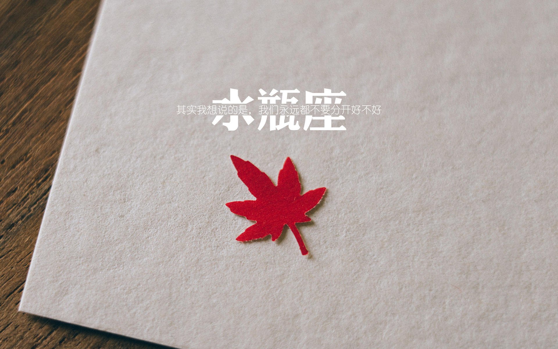 金年会官方网站-卡瓦哈尔一夫当关！友谊赛高光表现编织几内亚与德国的命运之网